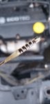 DipStick 2.jpg